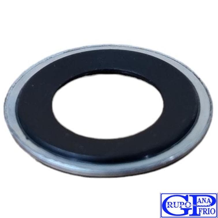  ARANDELAS METALICAS 16,8x31,5 4505 GP AR2795