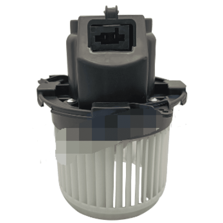  RENAULT DUSTER 21 BW5010A