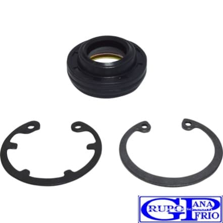  SELLOS TODOS V5/V7/CR14/7H15 (Daewoo/Chevrolet) GP SE0025W