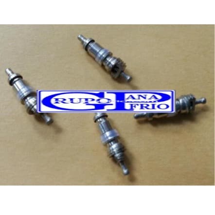  GUSANILLOS TODOS R12 GP GU1407