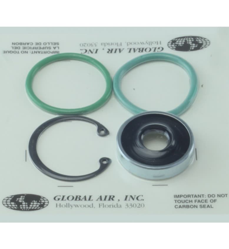  SELLOS TODOS GM (V5/HT6) Doble Labio GA SE1301